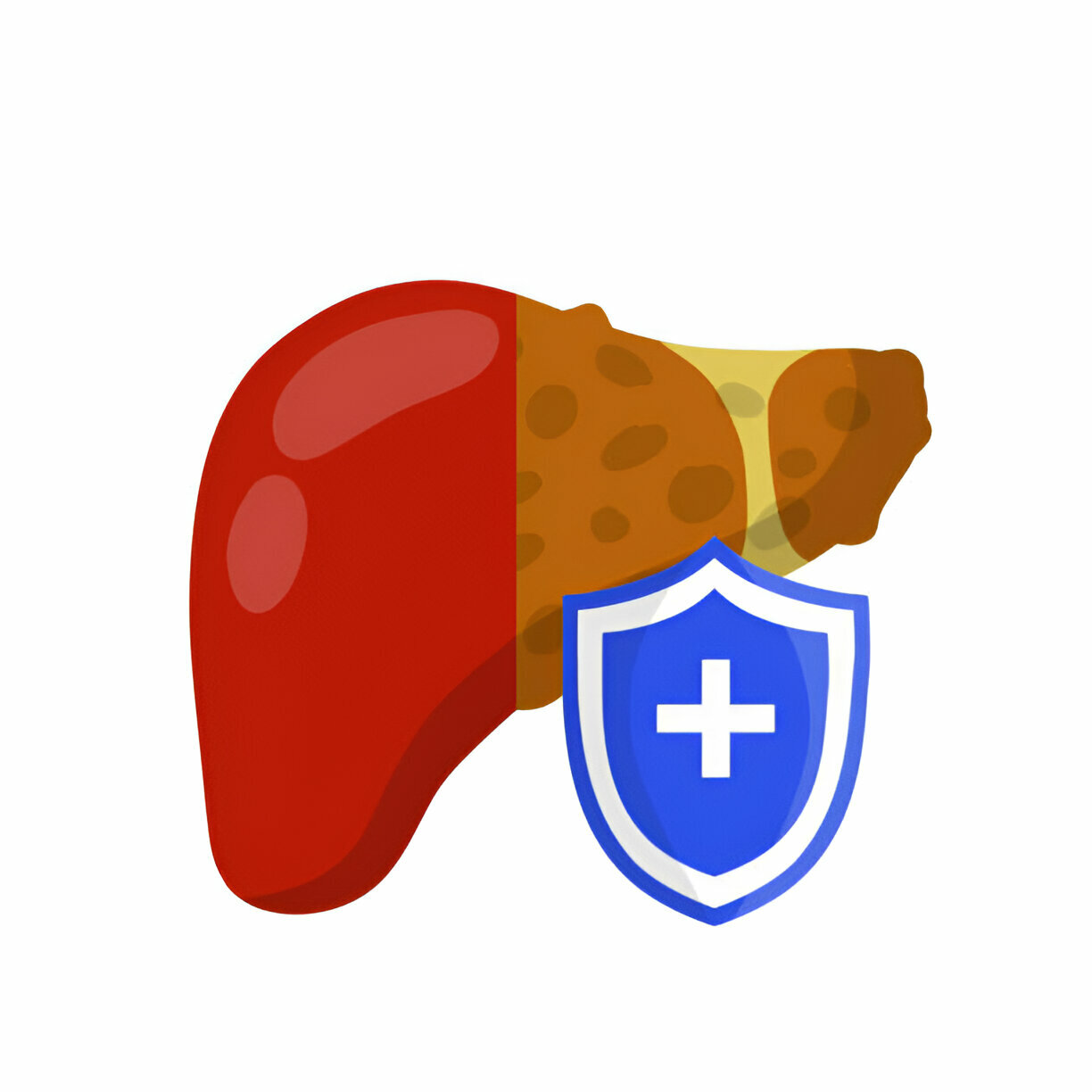 Препараты для лечения заболеваний печени в Израиле